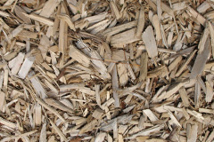biomass boilers Dingwall